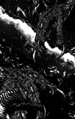 Pyracantha (USA) : The Malcontent